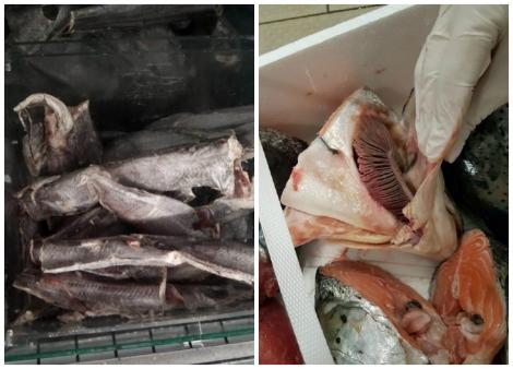 Pește stricat vândut de hipermarketuri din București! Sute de kilograme au fost retrase de la comercializare
