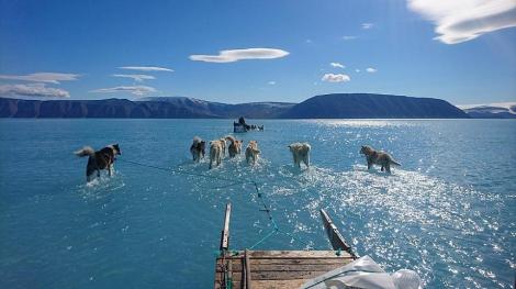 Topirea gheţii, devenită virală online. Peste 40% din suprafaţa Groenlandei, acoperită de apă într-o zi: Poate provoca furtuni puternice în nord-vestul Europei