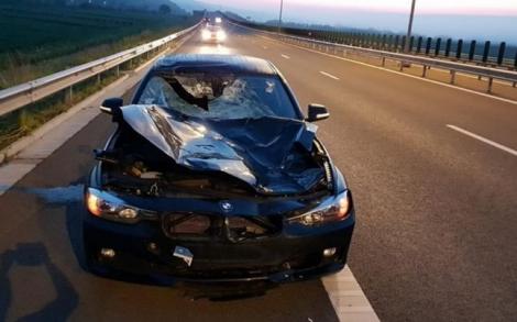 Un tânăr și-a distrus mașina după ce n-a mai putut evita impactul cu un cerb, pe autostrada Aiud-Turda