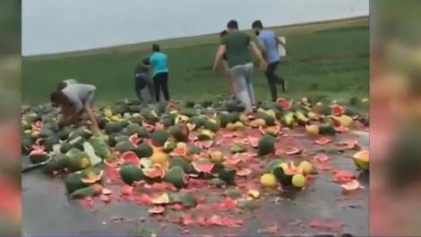 Video viral! Zeci de români filmați în timp ce adună pepenii căzuți dintr-un camion pe drumul spre Alexandria