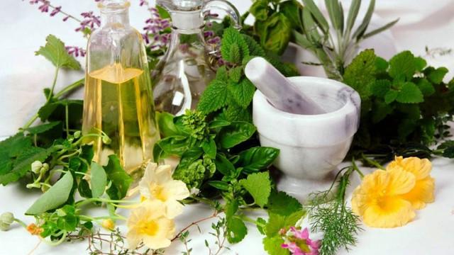 5 plante medicinale pe care să le ai în casă. Le poți cultiva în ghiveci, pe balcon