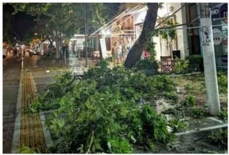 MAE: Doi cetăţeni români au decedat, iar altul a fost rănit, în urma furtunii din nordul Greciei