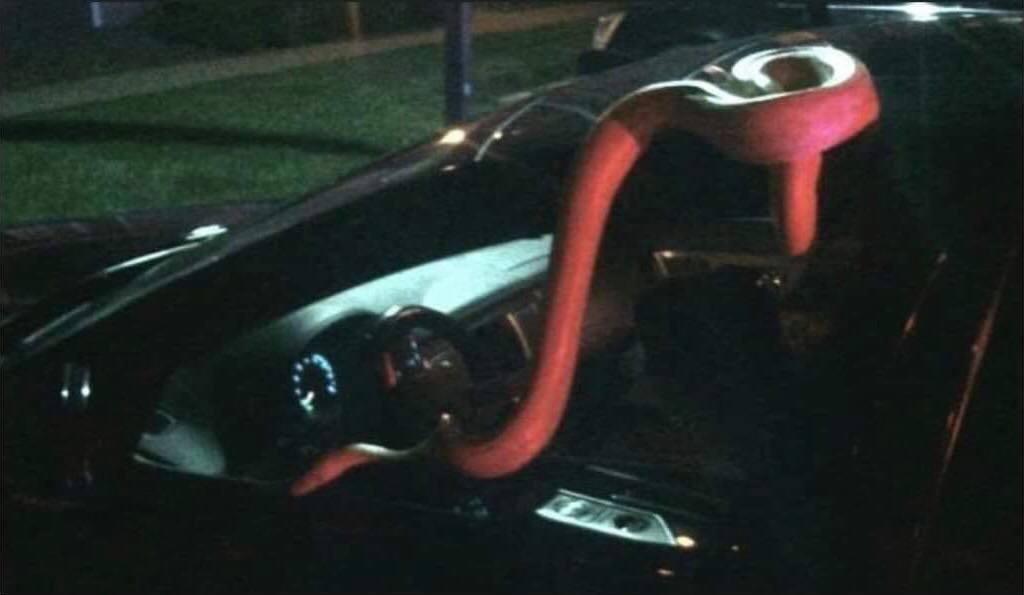 Un șofer băut a adormit la volan, iar șarpele său de 4,5 m a încercat să „evadeze” din mașină