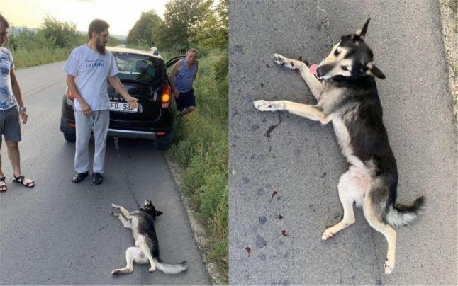 A legat un câine de mașină și l-a târât prin tot orașul. Preotul spune că imaginile mint, zeci de mii de oameni cer să fie pedepsit