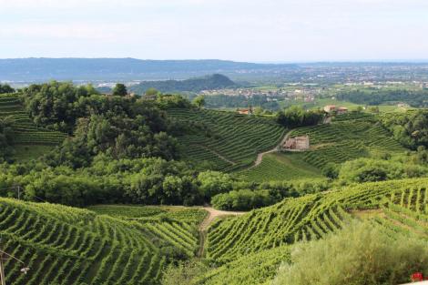 Dealurile Conegliano și Valdobbiadene din Italia au fost incluse în Patrimoniul UNESCO