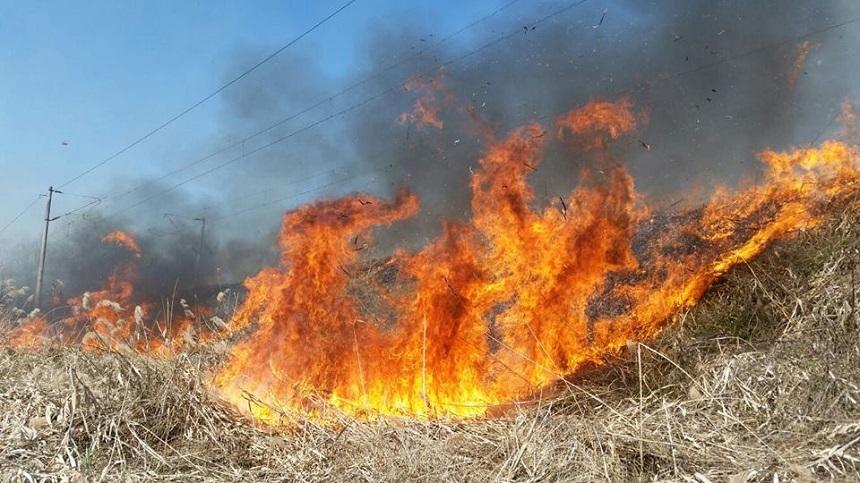 Risc ridicat de producere a incendiilor în Creta şi insulele Dodecanez