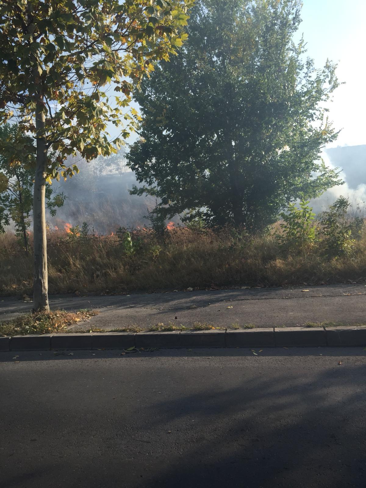 Pompierii din Bucureşti intervin pentru stingerea unui puternic incendiu de vegetaţie uscată care se manifestă pe şase mii de metri pătraţi; traficul pe Splaiul Unirii a fost restricţionat