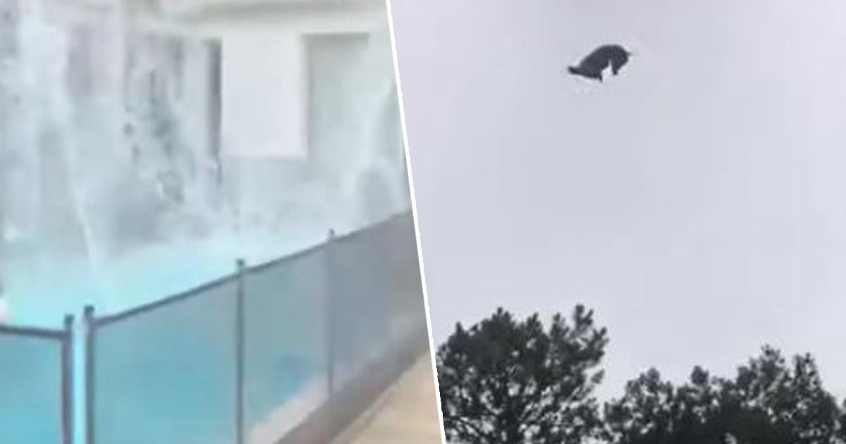 Un milionar a avut parte de o glumă bolnavă! Un porc a fost aruncat din elicopter direct în piscina acestuia - VIDEO
