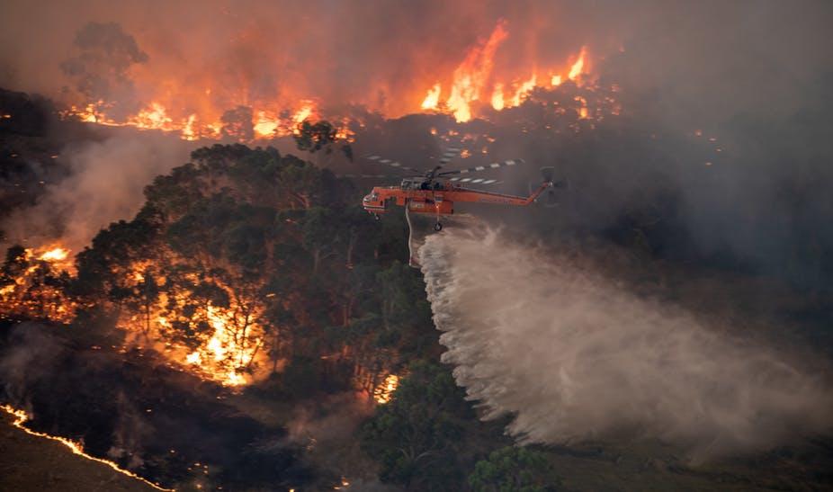 Vedetele din toată lumea sar în ajutorul Australiei, devastată de incendii fără precedent