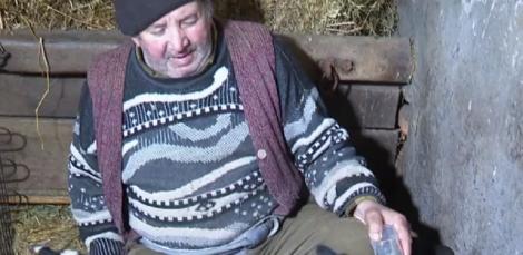 Un fermier din Arad a trăit surpriza vieții sale, când i-a fătat oaia! Ce a descoperit