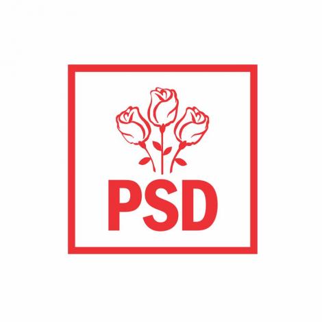 PSD: Avocatul Poporului dă dreptate PSD: privatizarea sănătăţii făcută noaptea de PNL este extrem de nocivă