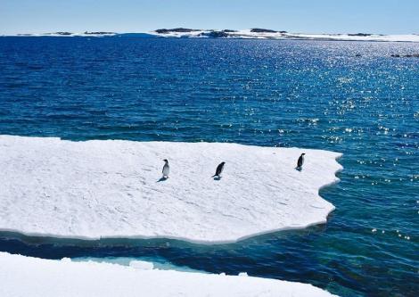 Antarctica a înregistrat primul val de căldură în timpul sezonului de vară din emisfera sudică