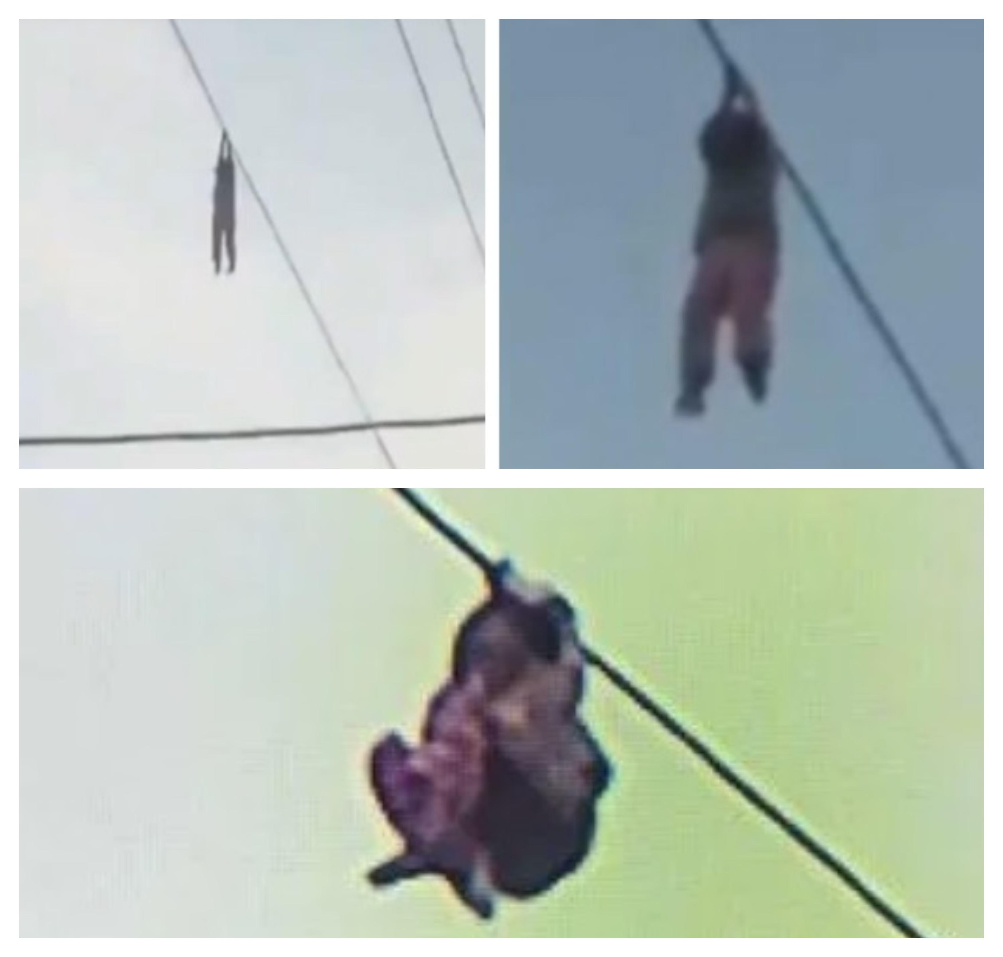 „Ajutooor! Nu mai pot să rezist! Vreau jos!”. O fetiță a rămas agățată de un cablu electric, la 15 metri înălțime! Imagini terifiante! VIDEO