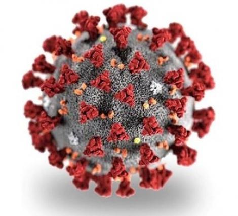 Coronavirus în Italia - O persoană infectată la fiecare 25 de testări, cel mai scăzut număr de la începutul epidemiei. Au fost înregistrate 464 de decese şi alte 2.600 de noi cazuri