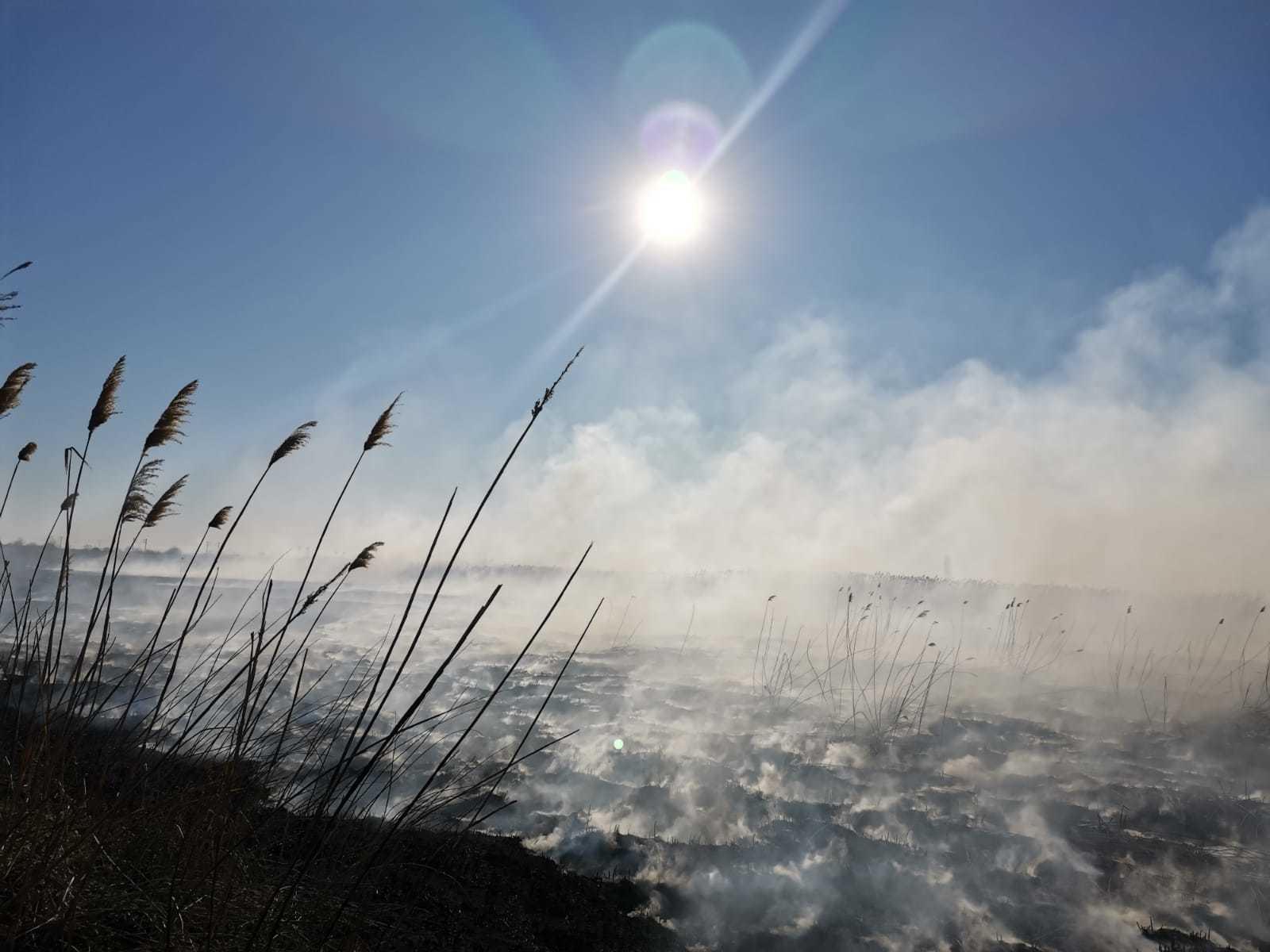 Pompierii din Bucureşti intervin pentru stingerea unui incendiu de vegetaţie uscată care se manifestă pe 20.000 de metri pătraţi, între localităţile Periş şi Dârza