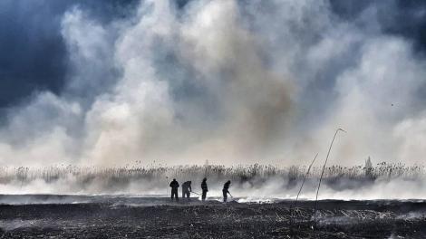 CJ Ilfov: Incendiul de la Periş continuă pe aproximativ 5.000 de metri pătraţi/ Ministerul Mediului:  Evoluţia norului de fum va fi de relativă staţionare în zona de nord a Capitalei