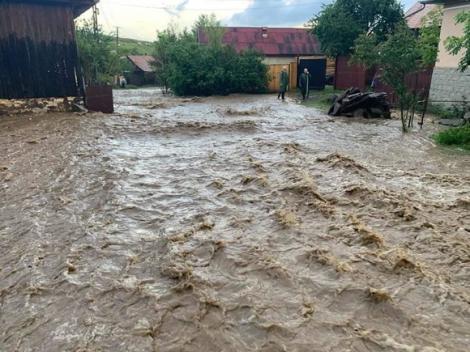 Ploile torențiale au făcut ravagii în România. Sute de gospodării, inundate de puhoaiele care au atins chiar și un metru 