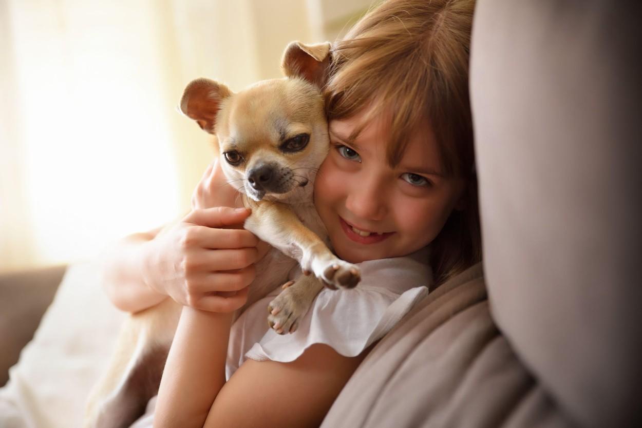 Cele Mai Frumoase Nume De Caini 200 De Idei Antena 1