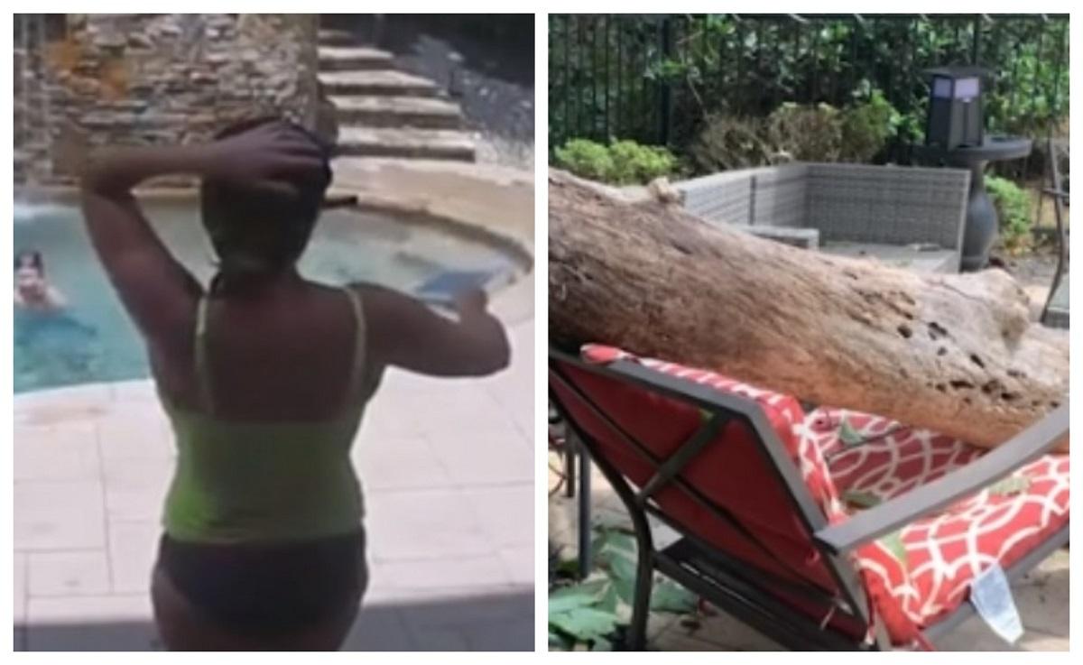 „Fugi, mama, fuuugi!”. O femeie a fost cât pe ce să moară strivită de un copac, în timp ce făcea plajă! VIDEO