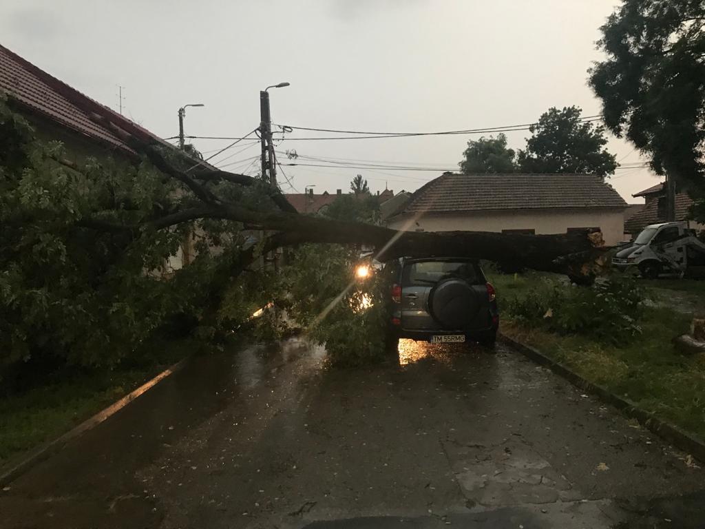 Copaci prăbuşiţi pe maşini şi pe carosabil şi case inundate, la Arad, în urma unei furtuni - FOTO, VIDEO