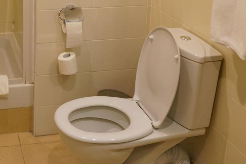 imagine cu un vas de toaleta