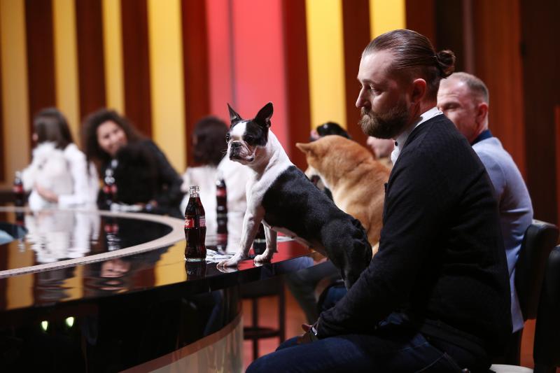 Degustarea a fost făcută de hairstyliști de animale 