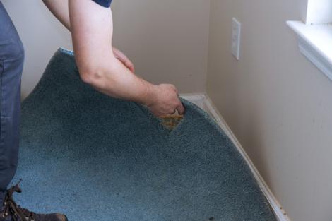 Când a vrut să schimbe covorul, o femeie a trecut prin momente de spaimă. Clipul video e viral pe TikTok