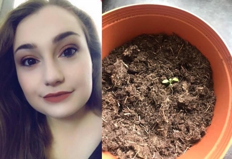O tânără a plantat o sămânță de căpșuni într-un ghiveci, dar în scurt timp a trăit o surpriză uriașă. Peste ce a dat Darcy Warby