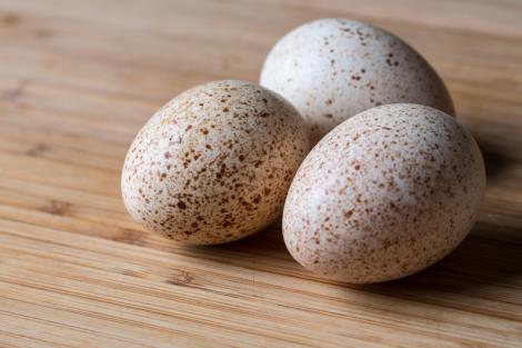 De ce ouăle de curcă nu sunt la fel de populare ca cele de găină. Motivul pentru care nu se găsesc la supermarket