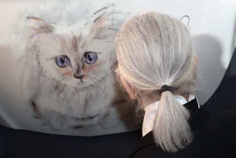 Choupette, pisica bogată a lui Karl Lagerfeld, are toate șansele să devină cea mai bogată felină. Cine deține recordul, momentan