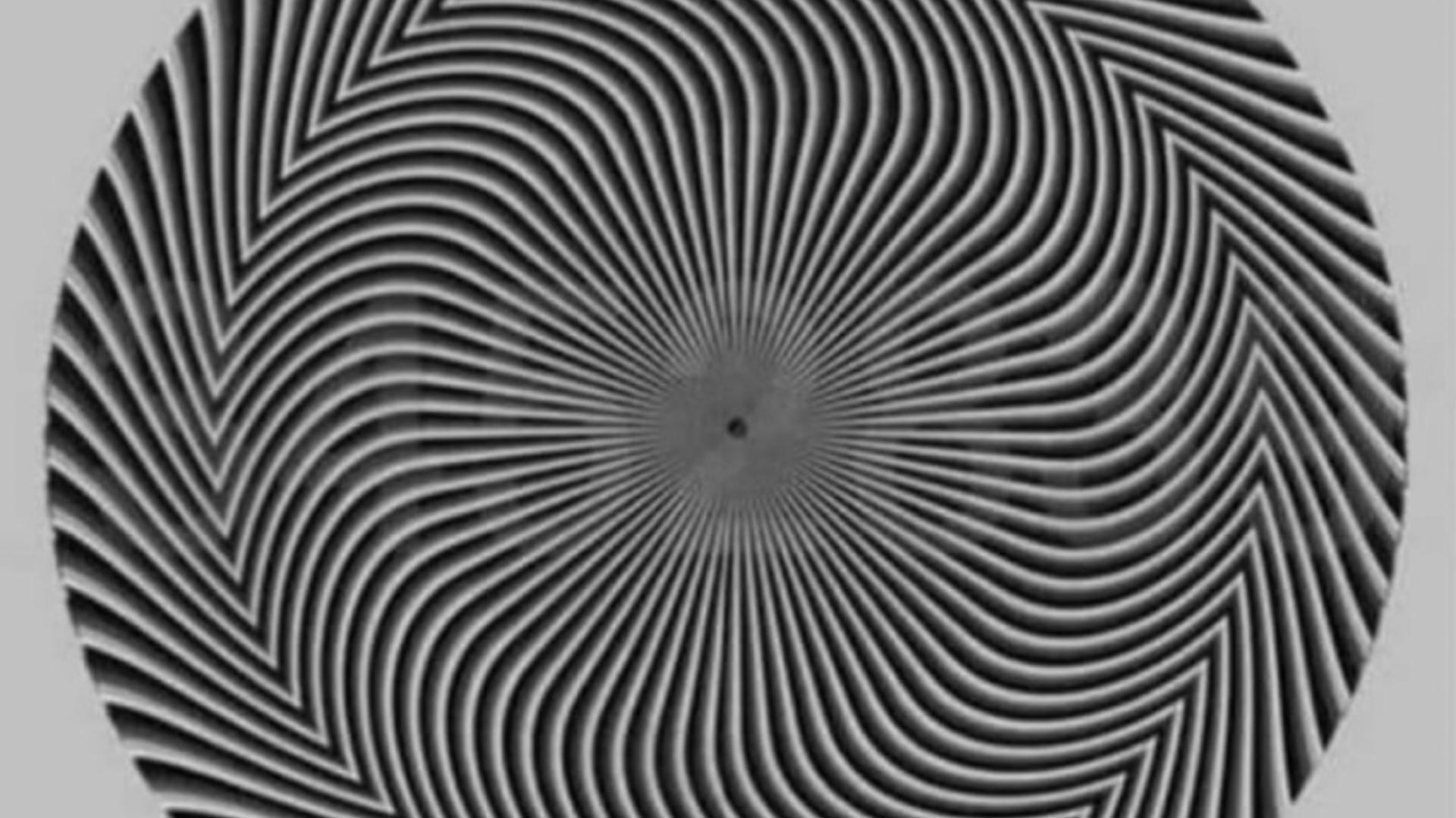 Ce număr vezi? O iluzie optică îi face pe oameni să vadă numere diferite. Testul care oferă indicii despre sănătatea ochilor