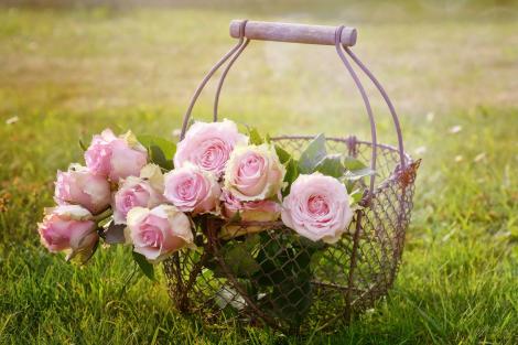 (P) 8 Martie Ziua Femeii – ce flori să oferim