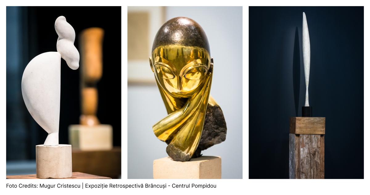 Mugur Cristescu | Jidvei | Expoziție Retrospectivă Brâncuși - Centrul Pompidou