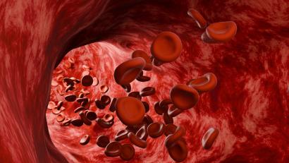 Mister din corpul uman rezolvat după 50 de ani. Cum sunt „înviate” unele celule