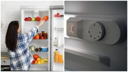 Temperatura la care trebuie ținut frigiderul iarna. Detaliul pe care puțini îl cunosc. Cum să păstrăm alimentele proaspete