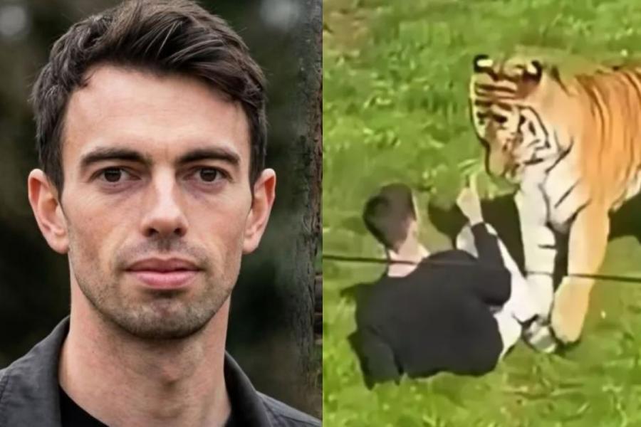 S-a aflat cum a ajuns fostul actor-copil în țarcul tigrului care l-a ucis! Ce au descoperit anchetatorii