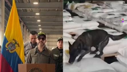 7,6 tone de cocaină, descoperite într-un transport de zahăr destinat Europei. Cea mai mare captură din ultimii 10 ani