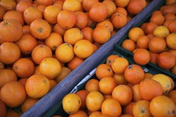 Peste 12 tone de portocale cu nivel ridicat de pesticide, la vânzare în hypermarket, după ce eticheta a fost schimbată