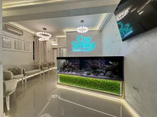 (P) Implant Dentar 2026: Ghid Complet — Tipuri, Prețuri și Protocol