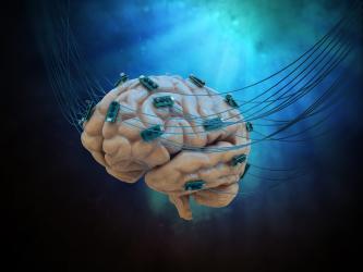 Cercetătorii folosesc „laboratorul lui Frankenstein” pentru experimente. Ce fac cu creierii oamenilor