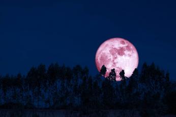 Când va avea loc Luna Căpșună din iunie 2026. E diferită față de orice altă Lună Plină