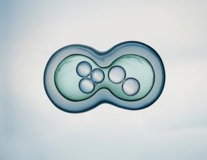 Experții au creat o celulă de la zero. Cum a fost posibilă premiera medicală mondială
