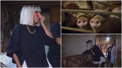 Poftiți pe la noi: Poftiți la întrecere, 11 august 2026. Raluca Bădulescu a intrat la porci purtând fustă de „balerina capucina”
