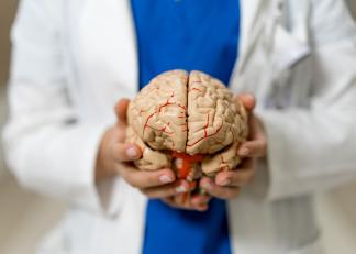 Ce se întâmplă în creierul tău când împlinești 50 de ani. Schimbarea ascunsă identificată de experți