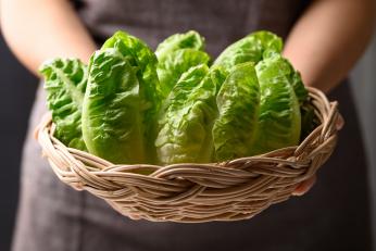 Proteină de carne crescută în salată pentru prima dată. De ce au apelat cercetătorii la experimentul controversat