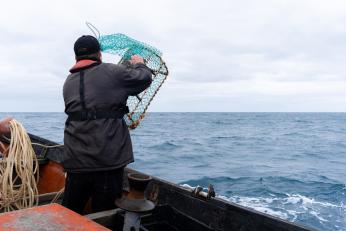 110.000 de euro pentru patru luni de muncă pe mare? Cât se poate câștiga, de fapt, la pescuit de crabi în Norvegia