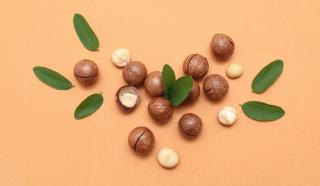 Beneficiile nucilor de macadamia. Cum le poți introduce în dieta ta zilnică