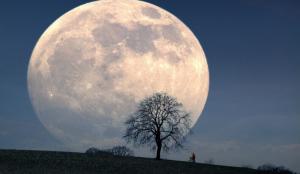 Luna ar fi mult mai veche decât se credea. Ce vârstă fantastică are satelitul natural al Pământului