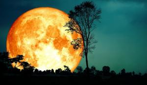 Când va avea loc ultima Super-Lună a anului 2023. Fenomenul rar e diferit față de alte Luni pline