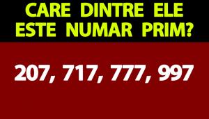 Test IQ exclusiv pentru genii | Care dintre aceste 4 numere este un număr prim: 207, 717, 777 sau 997?